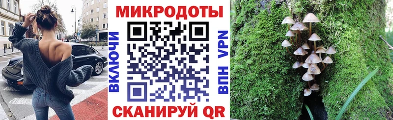 darknet состав  Верещагино  Псилоцибиновые грибы прущие грибы 